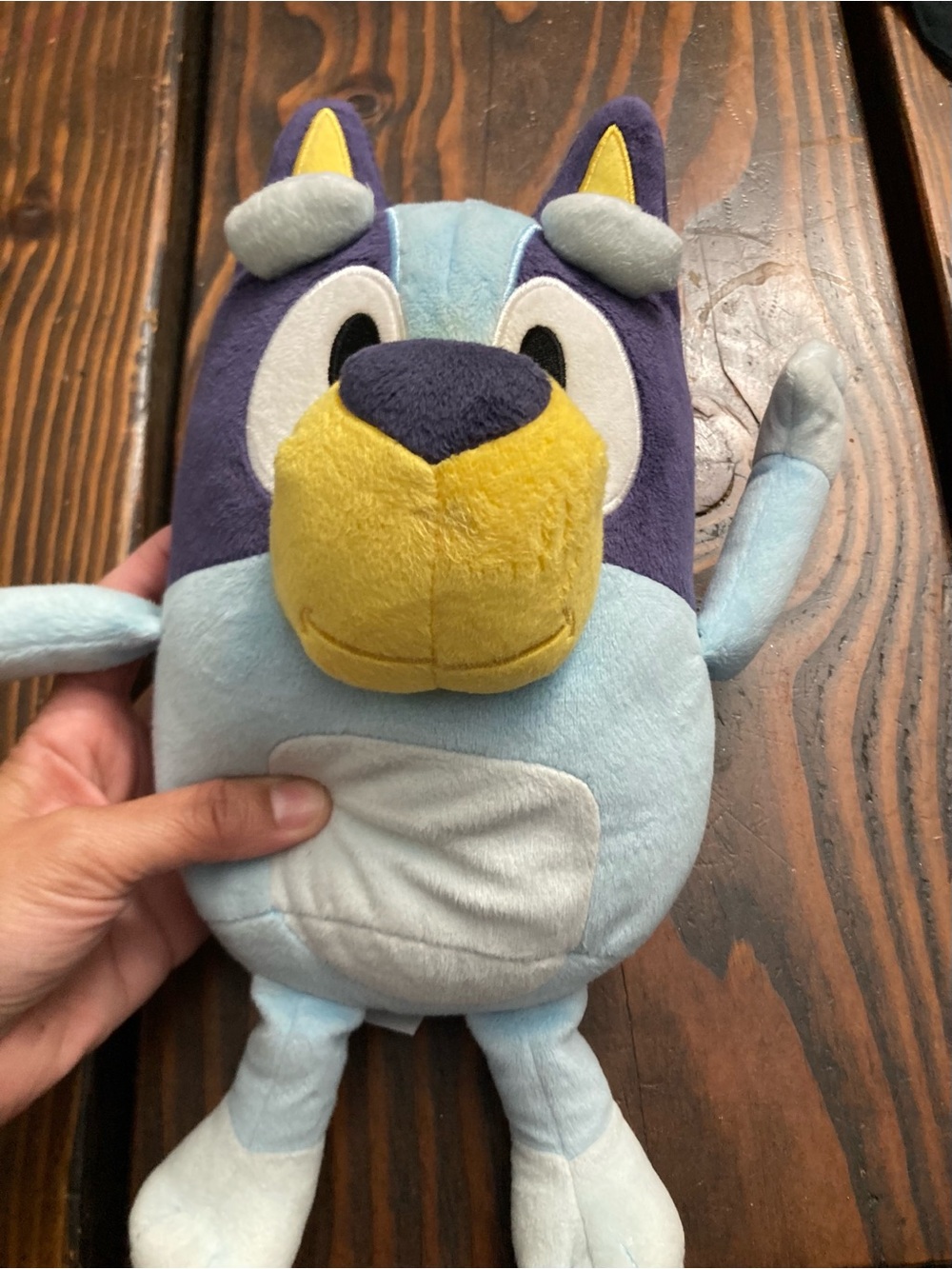 Bluey Toy